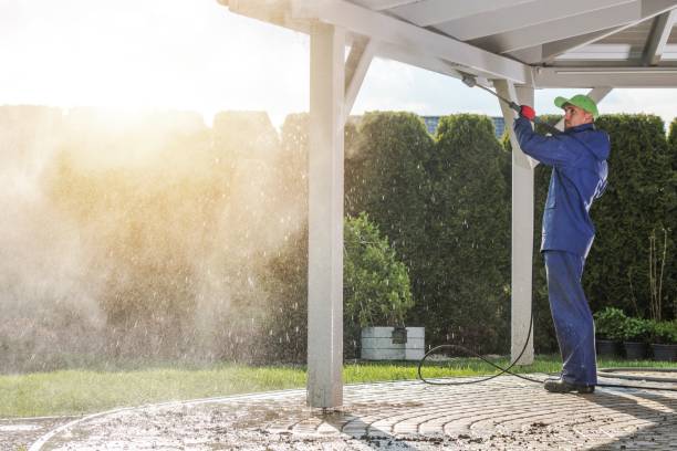 Best Solar Panel Cleaning  in Patchogue, NY